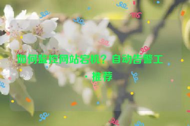 如何監(jiān)控網(wǎng)站宕機(jī)？自動告警工具推薦