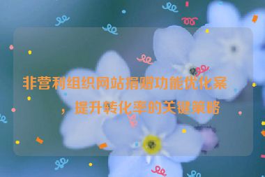非營利組織網(wǎng)站捐贈(zèng)功能優(yōu)化案例，提升轉(zhuǎn)化率的關(guān)鍵策略