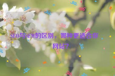 SEO與SEM的區(qū)別，哪種更適合你的網(wǎng)站？