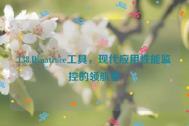 138.Dynatrace工具，現(xiàn)代應(yīng)用性能監(jiān)控的領(lǐng)航者