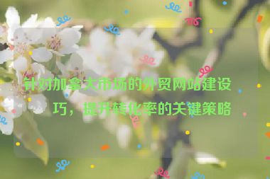 針對加拿大市場的外貿(mào)網(wǎng)站建設(shè)技巧，提升轉(zhuǎn)化率的關(guān)鍵策略