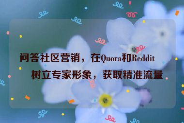 問(wèn)答社區(qū)營(yíng)銷(xiāo)，在Quora和Reddit上樹(shù)立專家形象，獲取精準(zhǔn)流量