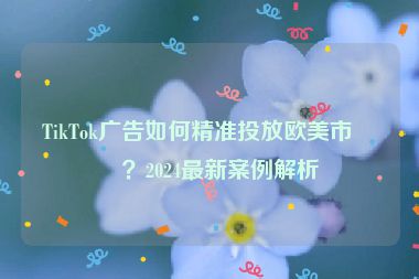 TikTok廣告如何精準投放歐美市場？2024最新案例解析