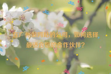 在廣州做網(wǎng)站的公司，如何選擇最適合您的合作伙伴？