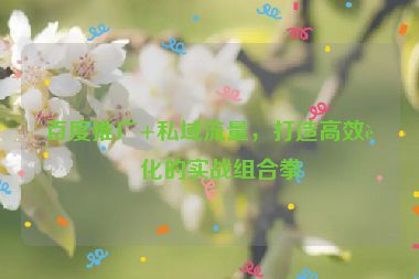 百度推廣+私域流量，打造高效轉(zhuǎn)化的實戰(zhàn)組合拳