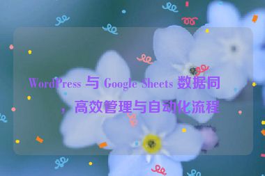 WordPress 與 Google Sheets 數(shù)據(jù)同步，高效管理與自動化流程