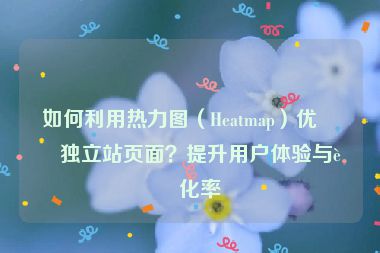 如何利用熱力圖（Heatmap）優(yōu)化獨立站頁面？提升用戶體驗與轉化率