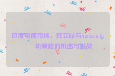 印度電商市場(chǎng)，獨(dú)立站與Amazon.in雙軌策略的機(jī)遇與挑戰(zhàn)