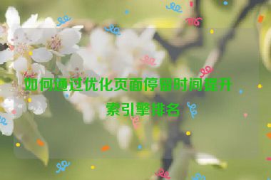 如何通過優(yōu)化頁(yè)面停留時(shí)間提升搜索引擎排名