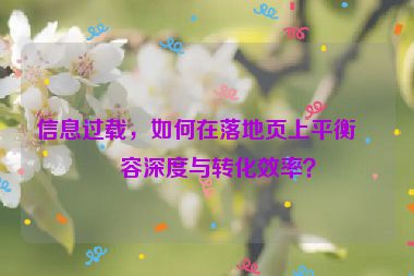 信息過載，如何在落地頁上平衡內(nèi)容深度與轉(zhuǎn)化效率？