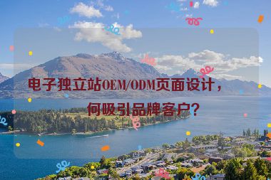 電子獨立站OEM/ODM頁面設計，如何吸引品牌客戶？