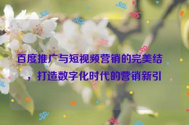 百度推廣與短視頻營銷的完美結(jié)合，打造數(shù)字化時代的營銷新引擎