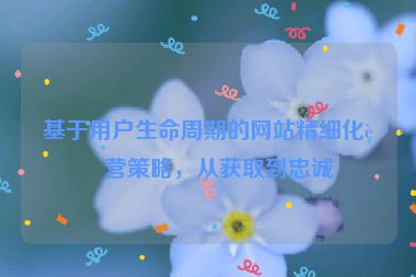 基于用戶生命周期的網(wǎng)站精細(xì)化運(yùn)營(yíng)策略，從獲取到忠誠(chéng)