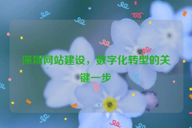 深圳網(wǎng)站建設(shè)，數(shù)字化轉(zhuǎn)型的關(guān)鍵一步