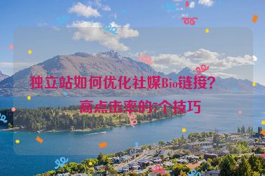 獨(dú)立站如何優(yōu)化社媒Bio鏈接？提高點(diǎn)擊率的7個(gè)技巧
