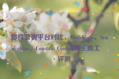 郵件營銷平臺對比，Mailchimp、Sendinblue、Constant Contact等主流工具評測