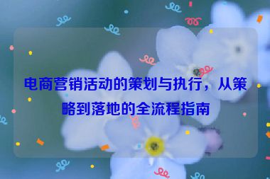 電商營(yíng)銷活動(dòng)的策劃與執(zhí)行，從策略到落地的全流程指南