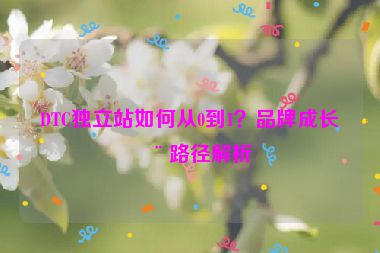 DTC獨(dú)立站如何從0到1？品牌成長(zhǎng)全路徑解析