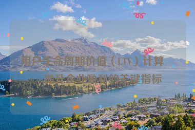 用戶生命周期價值（LTV）計算，提升企業(yè)盈利的關(guān)鍵指標(biāo)