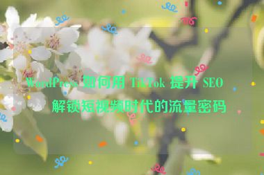 WordPress 如何用 TikTok 提升 SEO？解鎖短視頻時代的流量密碼