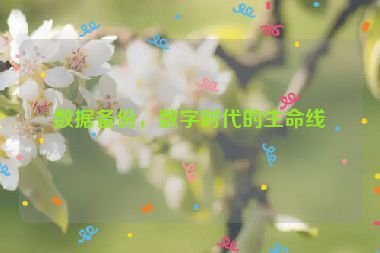 數(shù)據(jù)備份，數(shù)字時代的生命線