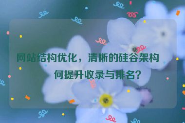 網(wǎng)站結(jié)構(gòu)優(yōu)化，清晰的硅谷架構(gòu)如何提升收錄與排名？