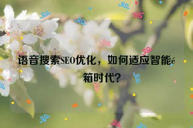 語(yǔ)音搜索SEO優(yōu)化，如何適應(yīng)智能音箱時(shí)代？