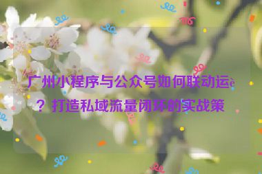 廣州小程序與公眾號(hào)如何聯(lián)動(dòng)運(yùn)營(yíng)？打造私域流量閉環(huán)的實(shí)戰(zhàn)策略