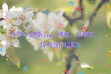 外貿(mào)人必備Chrome插件，從競品分析到郵件追蹤
