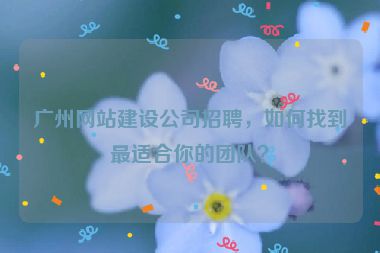 廣州網(wǎng)站建設(shè)公司招聘，如何找到最適合你的團(tuán)隊(duì)？