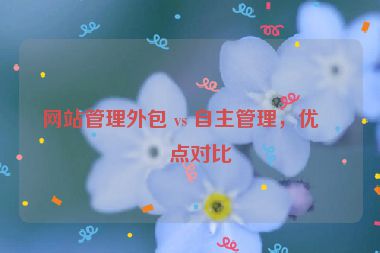 網(wǎng)站管理外包 vs 自主管理，優(yōu)缺點(diǎn)對比