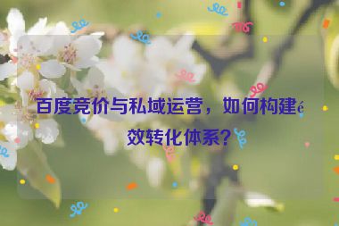 百度競價與私域運營，如何構(gòu)建長效轉(zhuǎn)化體系？