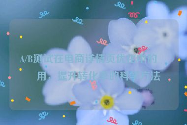 A/B測試在電商詳情頁優(yōu)化中的應(yīng)用，提升轉(zhuǎn)化率的科學(xué)方法