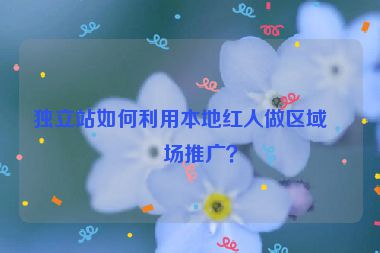 獨(dú)立站如何利用本地紅人做區(qū)域市場推廣？