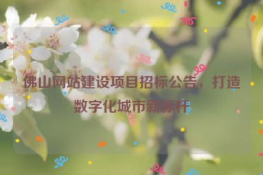 佛山網(wǎng)站建設(shè)項(xiàng)目招標(biāo)公告，打造數(shù)字化城市新標(biāo)桿