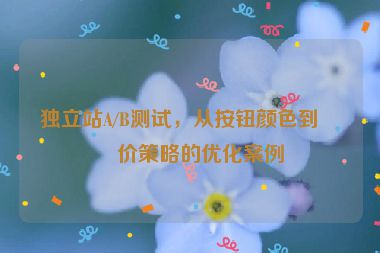 獨(dú)立站A/B測(cè)試，從按鈕顏色到定價(jià)策略的優(yōu)化案例