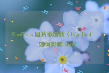 WordPress 圖片懶加載（Lazy Load）如何影響 SEO？