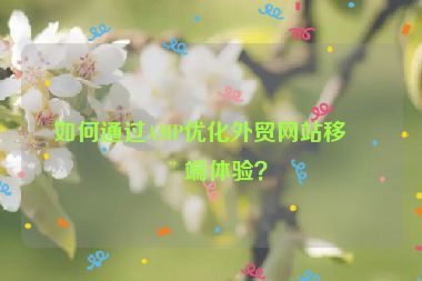 如何通過AMP優(yōu)化外貿(mào)網(wǎng)站移動端體驗(yàn)？