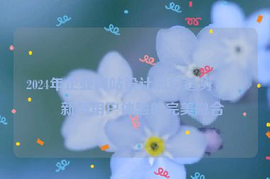 2024年企業(yè)網(wǎng)站設(shè)計(jì)流行趨勢(shì)，創(chuàng)新與用戶體驗(yàn)的完美融合