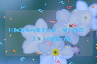 國際站金品誠企認證，值不值得投入？ROI測算分析