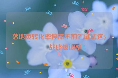 落地頁(yè)轉(zhuǎn)化率停滯不前？試試這5個(gè)戰(zhàn)略級(jí)調(diào)整