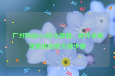 廣州網(wǎng)站SEO優(yōu)化策略，提升本地搜索排名的關(guān)鍵步驟