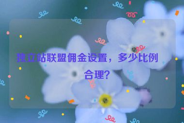 獨立站聯(lián)盟傭金設置，多少比例最合理？