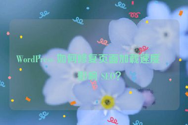 WordPress 如何修復(fù)頁面加載速度慢影響 SEO？
