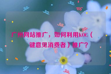 廣州網站推廣，如何利用KOC（關鍵意見消費者）推廣？