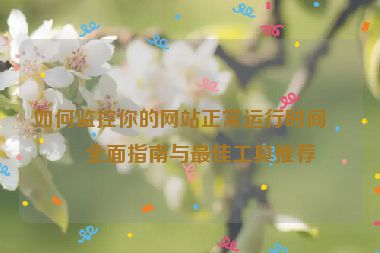 如何監(jiān)控你的網(wǎng)站正常運(yùn)行時(shí)間？全面指南與最佳工具推薦