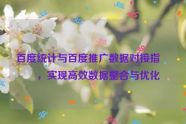 百度統(tǒng)計(jì)與百度推廣數(shù)據(jù)對(duì)接指南，實(shí)現(xiàn)高效數(shù)據(jù)整合與優(yōu)化