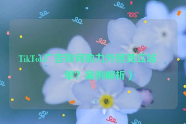 TikTok廣告如何助力外貿(mào)獨(dú)立站爆單？案例解析）