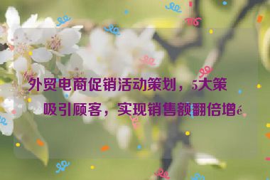 外貿電商促銷活動策劃，5大策略吸引顧客，實現(xiàn)銷售額翻倍增長
