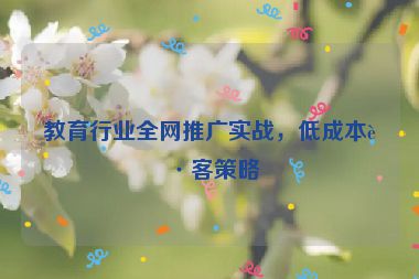 教育行業(yè)全網(wǎng)推廣實戰(zhàn)，低成本獲客策略